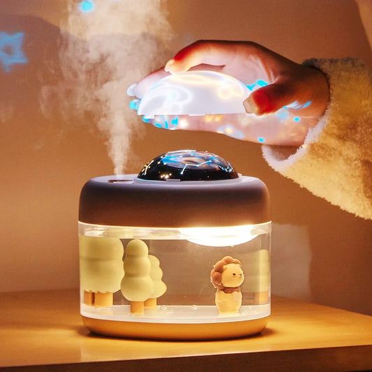 Projector Lamp Humidifier